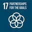 17 - Partnerships for the goals